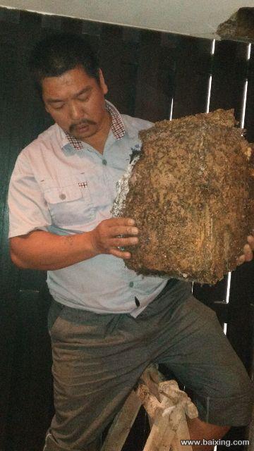 三亚星火有害生物防治中心